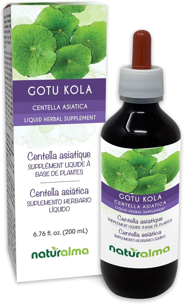 Naturalma Gotu kola (Centella asiatica) kruid Alcoholvrije Tinctuur - 6,76 fl oz Liquid Extract in druppels - Kruidensupplement - Veganistisch