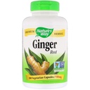Nature's Way Gemberwortel 550 mg, Capsules 180ea