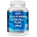 Celulas Madres 60 Capsules Vitamisan 1000 mg Aphanizoomenon Flos-aquae Blue Green Algen AFA Stem Natural Cell