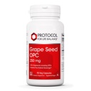 PROTOCOL VOOR LEVENDE BALANSdraafzaad OPC - 250mg - 90% polyfenolen - met Rutin & Amla Fruit Extract - Grape Seed Capsule - Non-GMO & Kosher - 90 Veg Caps