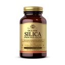 Solgar Oceanic Silica van Red Algen 25 mg, 100 plantaardige capsules - Uitstekende bron van calcium, Ondersteunt Bone Health - Non-GMO, Veganistisch, Glutenvrij, Dairy Free, Kosher - 50 porties