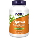 NU Supplementen, Ojibwa Kruidenextract 450 mg, Geconcentreerde Blend , Alcohol-Free, 4:1 Kruidenextracten, 180 Veg Capsules