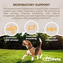Doggie Condiments Pet Respiratory Support Een natuurlijke hondensupplement voor optimale hondenademhaling, Clear Sinuses, Hoesten, niezen en congestie Relief voor honden