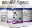 Hondenverteringsenzymen en probiotica - PROBIOTICS voor honden - Gezond Gut - Stop gas Diarree en slechte adem - Digestieve Boost - Hondenprobiotica Poeder - 1 Fles (60 Treats)