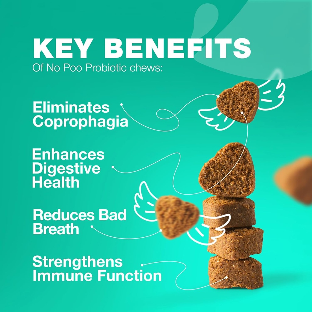 No Poo Chewables for Dogs - Enzymes, Dog Probiotics for Digestive Health - Canine Digestive, Gut & Immune Health Supplement