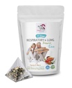 respiratoire vitaminen - RESPIRATOR EN LUNG ONDERSTEUNING TEA 14 dagen met kaneel, Hibiscus, Marshmallow Root, Astragalus, Pepermunt, eucalyptus theeblad 1 verpakking 14 theezakjes