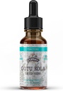 Gotu Kola Tinctuur, Biologische Gotu Kola Extract, Gotu Kola Drops (Centella Asiatica) Gedroogde Kruiden