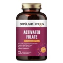 Geactiveerde folaat-L 5-MTHF DFE Supplement - Methylfolaat B9 MTHF met vitamine B12, CoQ10, & Red Raspberry - Gemethyleerd L-methylfolaat voor mannen en vrouwen - 500 mcg - 90 Veggie Capsules