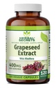 Kruidengeheimen Grapeseed Extract 400 mg 120 Veggie Capsules Supplement - Non-GMO - Glutenvrij