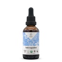 Astragalus USDA Organisch Alcoholvrij Extract 