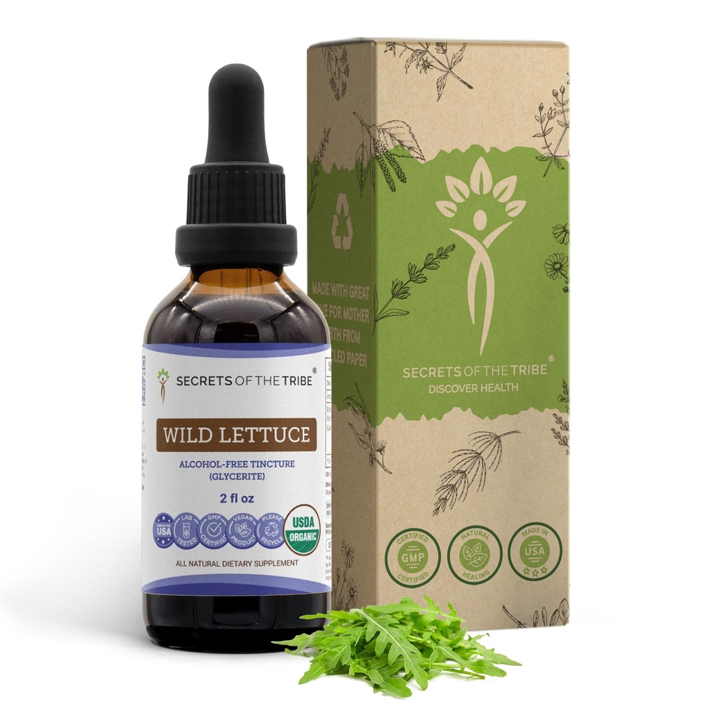 Geheimen van de stam Wilde sla Alcoholvrije USDA Organische Tinctuur Extract, Wilde sla (Lactuca virosa) Gedroogd Kruiden (2 fl oz)