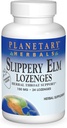 Planetary Herbals Slippery Elm Lozenges, Strawberry, 24 Count