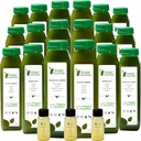 5 dag groen sap reiniging door ruwe fontein, alle natuurlijke raw, Vegan Detox, koud geperst sap, 30 flessen 12oz, 3 Ginger Shots