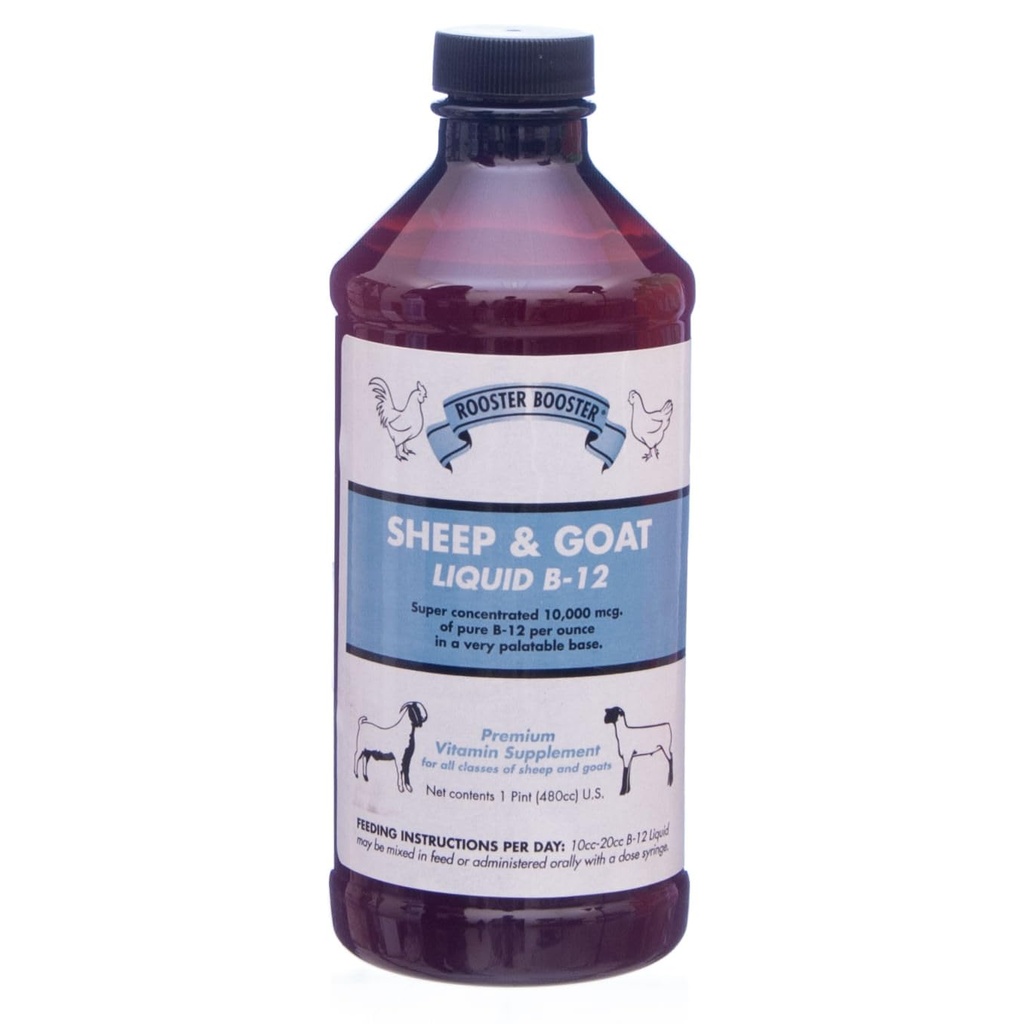Haan Booster B-12 Schapen en geiten Vloeistof, 16-Ounce