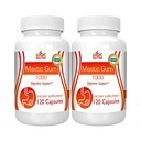 Mastic Gum Capsules - Natuurlijke Gastro-intestinale Ondersteuning Supplement, 1000mg per portie - 120 Capsules (2 flessen)