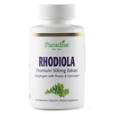 Paradise Kruiden Rhodiola Extract 500mg, Super Potent Antioxidant, Ultra Pure, Vegan, Non-GMO, Glutenvrij, 60 Vegetarische Capsules