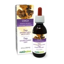 Naturalma Chaga (Inonotus obliquus) Schimmel of paddo Alcoholvrije tinctuur - 4 fl oz Liquid Extract in druppels - Kruidensupplement - Veganistisch