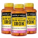 Mason Natural Slow,Release Iron (Ferrou Sulfate) 50 mg Tablets, 180 Day Supply, High Potency Supplement, Zacht op de maag, 3 Pack