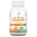 Biologische Aura Gember Capsules - 120 Veg Capsules. Verhoogt natuurlijk de spijsvertering, Relief Momach Upset en verbetert de immuniteit. Geen GGO en Glutenvrij.