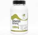 Siberische Ginseng 1000mg ~ 100 Capsules - Geen additieven ~ Naturetitie Supplementen