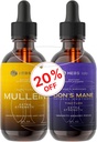Bundel - Mullein Leaf Extract & Lions Mane Mushroom Supplement - Respiratory Support & Hersenondersteuning
