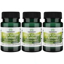 Swanson Black Gember Extract - Bevordert gezonde bloedcirculatie en fysieke Vigo - May Aid Heart Health, Muscle Tissue, and Mental Wellbeing - (30 Veggie Capsules, 100mg Elke) (3 Pack)