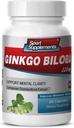 Hersensupplementen voor Geheugen en Focus - Ginkgo BILOBA 120MG - Gingko biloba Plant, Focus Supplementen voor Volwassenen, Gingko biloba Supplementen, Ginko biloba Pillen Natuurlijke, Geheugensupplement - 1B 60 Caps