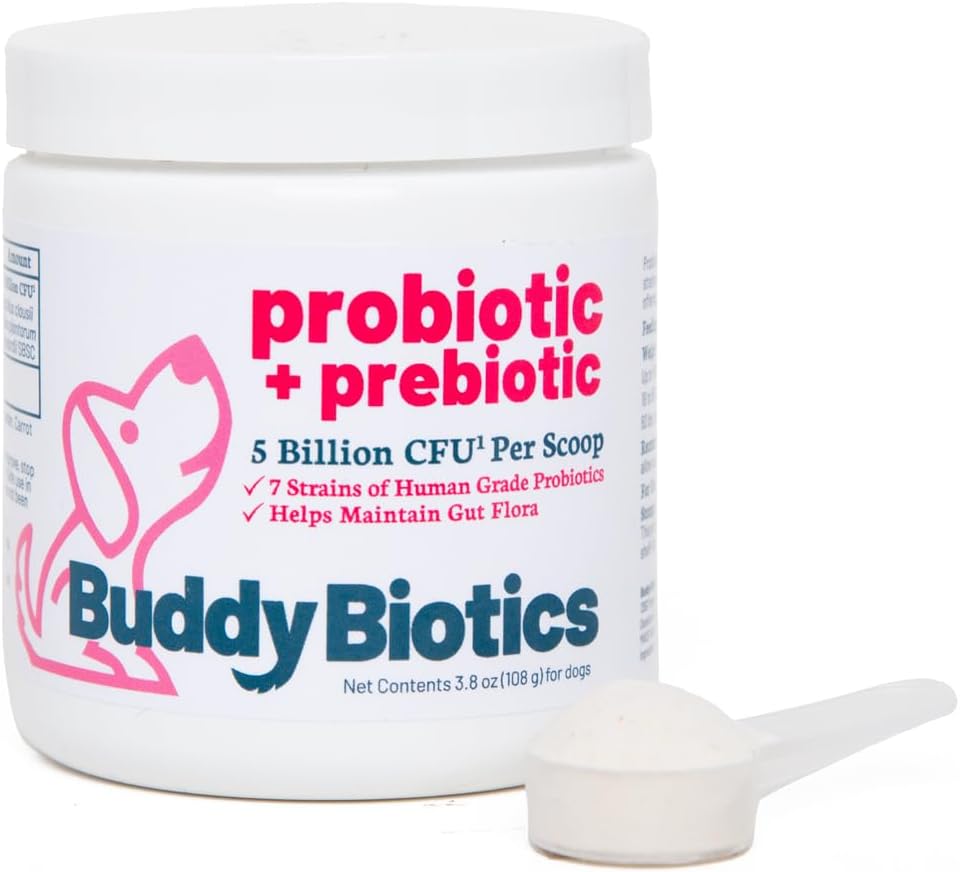 Buddy Biotics Probiotic + Prebiotic for Dogs- Gut Flora Health, Digestieve en Immune Health, Diarree en Bowel Ondersteuning 