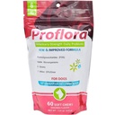Probiotica voor honden - Complete Gut Health & Immune Ondersteuning. Gemakkelijk te gebruiken Digestieve Multi-Strain Probiotica. Gemakkelijkere dieetovergangen, gezondere huid & jas & helpt behandelen diarree. 60 zachte kauwen