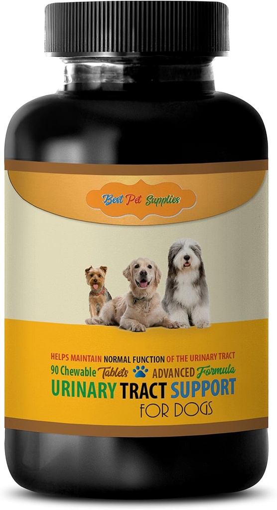 Blaas Ondersteuning voor honden - Honden Urinaire Tract Ondersteuning - Handhaaf gezondheidsfunctie - CHEWABLE - uva Ursi voor honden - - hondensupplementen & vitaminen - hondenvitaminen en multivitaminen - 90 Treats (1 fles)