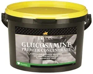 Lincoln Glucosamine Premium Concentrate Horse Supplement - 600g (optimale gezondheid in gewrichten en kraakbeen)