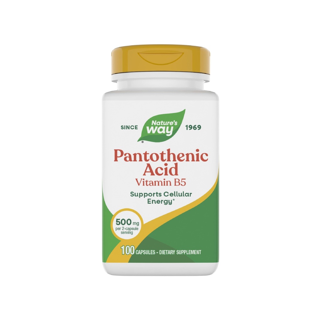 Nature's Way Pantothenic Acid, ondersteunt Cellular Energy*, 500mg per portie, 100 Capsules