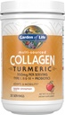 Garden of Life Multi-Sourced Collagen Peptides + Kurkumapoeder - Apple Cinnamon, 20 Servings, voor vrouwen Mannen Gezamenlijke Mobiliteit, Gehydrolyseerde Collageen Proteïne Poeder Supplementen