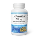 Natuurlijke factoren, L-Carnitine 500 mg, Energy Support, 60 capsules (60 porties)