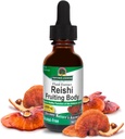 Antwoord van de natuur Alcoholvrije Reishi Extract Fruitlichaam, 1-Fluid Ounce Liquid Extract Immune System Builder