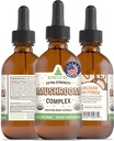 RawGuru Biologische Paddestoel Complex Tinctuur - Biologische Paddestoel Extract met Trace Mineralen - Nano-Processed Cognitive & Immune Support Supplement - 60 porties Vegan Drops per 60 ml, Verpakking van 1