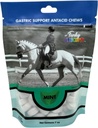 Funky Eenhoorn Gastische Kauwen - MINT smaak