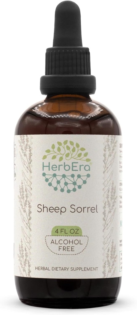 Sheep Sorrel B120 Alcohol-Free Herbal Extract Tincture, Concentrated Liquid Drops Natural Sheep Sorrel (Rumex Acetosella) Dried Herb (4 fl oz)