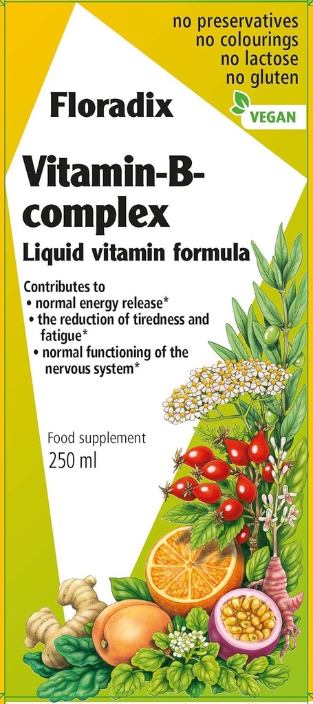 Floradix Vitamine B Complex Liquid Formula, 250 ml