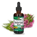 Het antwoord van de natuur Valeriaan Root Bevordert rustgevende slaap Kalmte & Relaxes Super ongevouwen 1000mg Glutenvrij, Alcoholvrij, Kosjer Gecertificeerd & Vegan 2oz (pakket van 2)