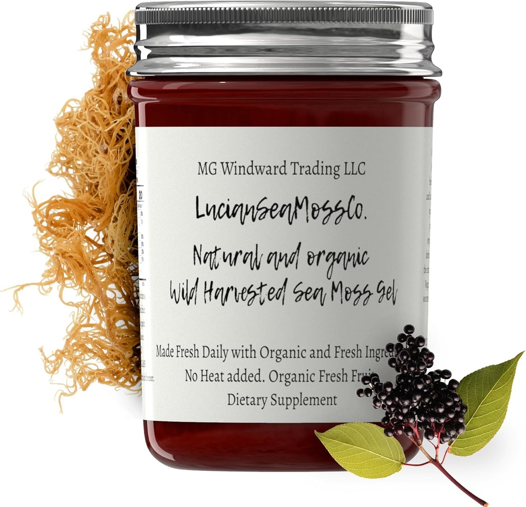 Dr. Sebi Geïnspireerd Alkaline Biologische Verse Vlierbes Ginger Sea Moss Gel - Natuurlijke Essentiële Vitaminen, Mineralen Plus Antioxidanten Wild Geoogst uit Saint Lucia (8 oz.)