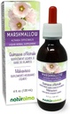 Naturalma Marshmallow (Althaea officinalis) Root Alcoholvrije Tinctuur - 4 floz Liquid Extract in druppels - Kruidensupplement - Veganistisch