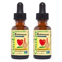 KINDLIFE ESSENTIËLES Echinacea voor kinderen - Kinderen Echinacea druppels, vloeibare tinctuur, alcoholvrije supplement voor baby's, peuters, kinderen - natuurlijk oranje, 1 Fl Oz (pakket van 2)