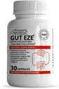 Rawleigh Gut Eze: 30 Capsules, Everyday Vegetarian Probiotic for Men & Women,1 Miljard CFU/Cap, Microbiome-Based, SCFA Production + Gut, Digestief, Immunity, Appetite & Lipid Support, Non-GMO