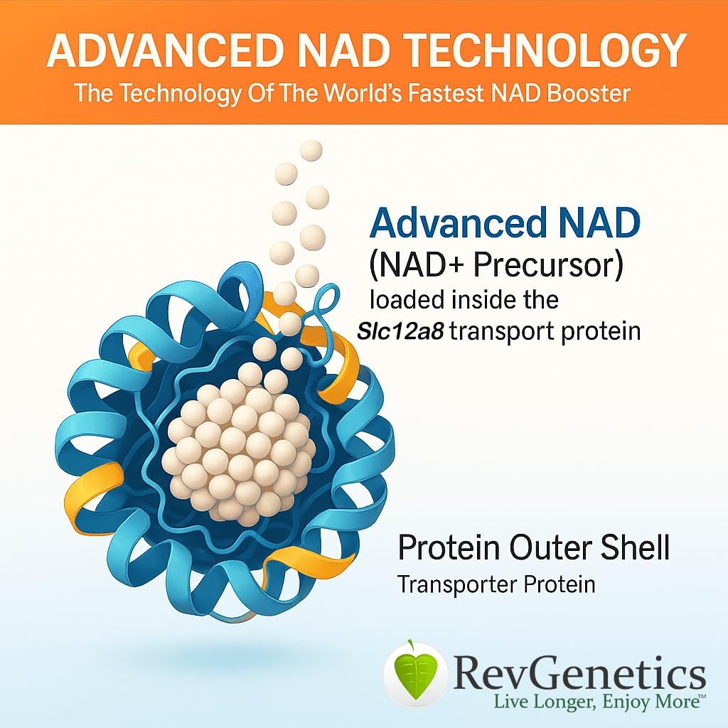 REVGENETICA Advanced NAD+ Supplement, 60 Capsules - Dieetsupplement voor gezonde veroudering en levensduur