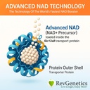 REVGENETICA Advanced NAD+ Supplement, 60 Capsules - Dieetsupplement voor gezonde veroudering en levensduur