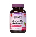 BlueBonnet Nutrition Earth Sweet Vitamin B12 & Folic Acid Kauwtabletten, Sojavrij, Glutenvrij, Raspberry 90 Tellen (Pack of 1)