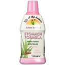 Lily Of The Desert Stomach Formula, Biologische Aloë Vera Juice met Slippery Elm, Kamille, Pepermunt, en Ginger voor Gut Health, Acid Reflux, Heartburn Relief, 32 Oz