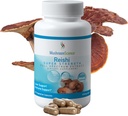 PaddestoelenWetenschap Reishi Paddestoelen Capsules, Super Kracht Volledige Spectrum Extract, Natuurlijke Paddestoelen Supplement voor Volwassenen, Warm water Geextracteerde Paddenstoelen, Gezondheidsondersteuning, Vegetarisch, 400MG, 90 CT