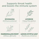 Traditionele Medicinals Lozenges, Biologische Troat Coat Citroen Ginger Echinacea, Sore Throat Support, 16 Tellen (Pack of 2)